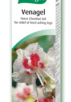 A Vogel Venagel Horse Chestnut Gel For Sale