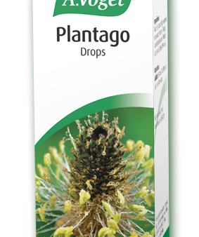 A Vogel Plantago Drops Online Sale