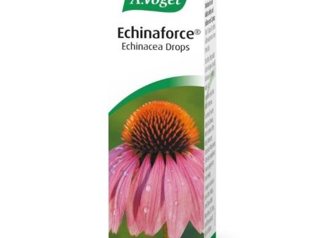 A Vogel Echinaforce Echinacea Drops 100mls Online now