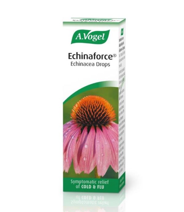 A Vogel Echinaforce Echinacea Drops 100mls Online now