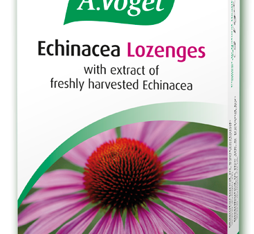 A Vogel Echinaforce Lozenges For Sale