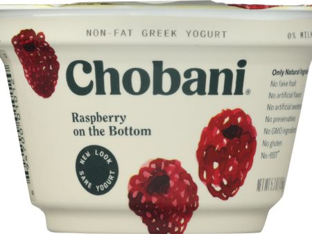 CHOBANI: YOGURT GREEK NON FAT RASPBERRY (5.300 OZ) Online Hot Sale