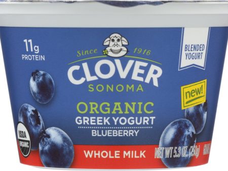 CLOVER SONOMA: Organic Whole Milk Blueberry Greek Yogurt, 5.30 oz For Cheap