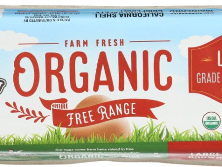 CHINO VALLEY: Organic Free Range Large Brown Eggs, 1 dz Online Sale