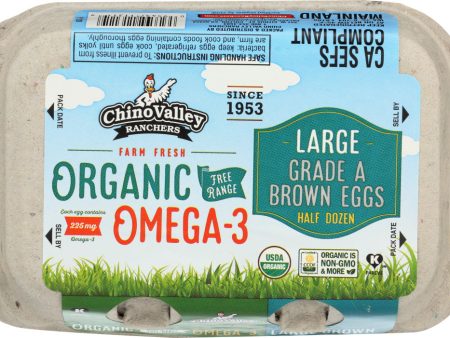 CHINO VALLEY: Organic Omega-3 Large Brown Eggs, 6 count Online Sale