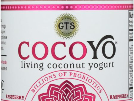 COCOYO: Raspberry Yogurt, 8 oz Hot on Sale