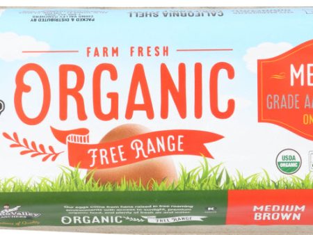 CHINO VALLEY: Organic Free Range Medium Brown Eggs, 1 dz Online Sale