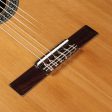 Alhambra 1C Classical Nylon String Acoustic Guitar Natural Supply