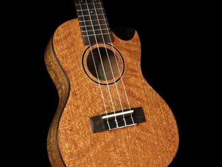 Journey Instruments UC770CE J-uke Acoustic Concert Ukelele on Sale