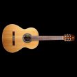 Alhambra 1C Classical Nylon String Acoustic Guitar Natural Supply